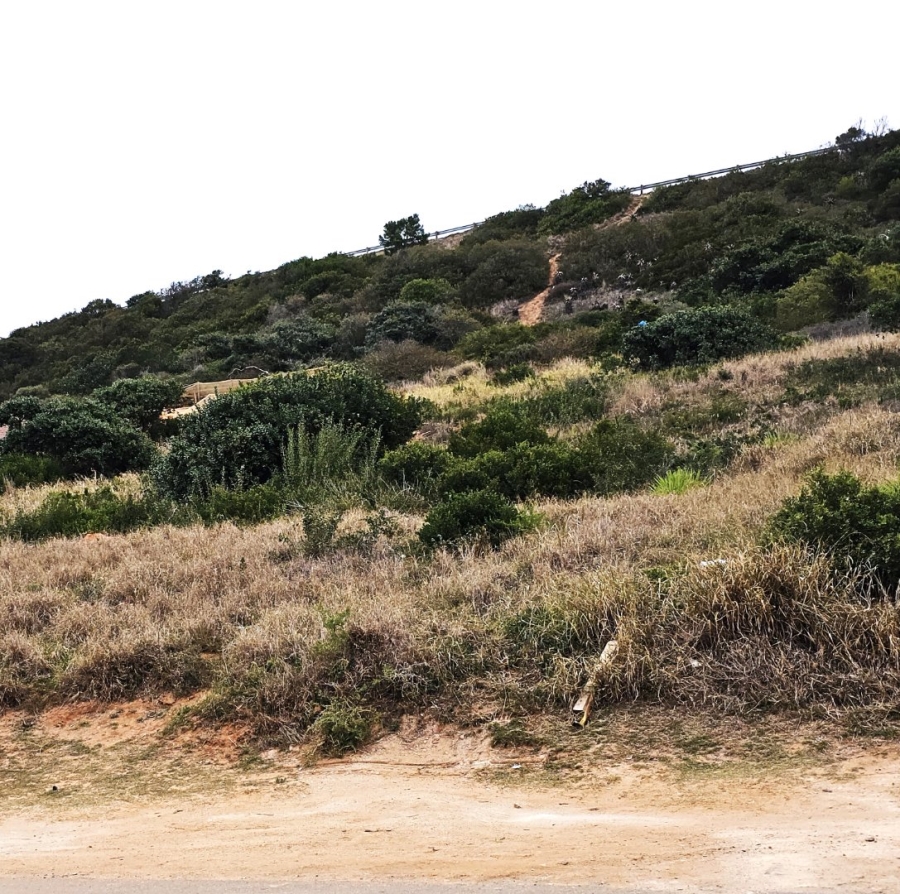 Bedroom Property for Sale in Diaz Industria Western Cape